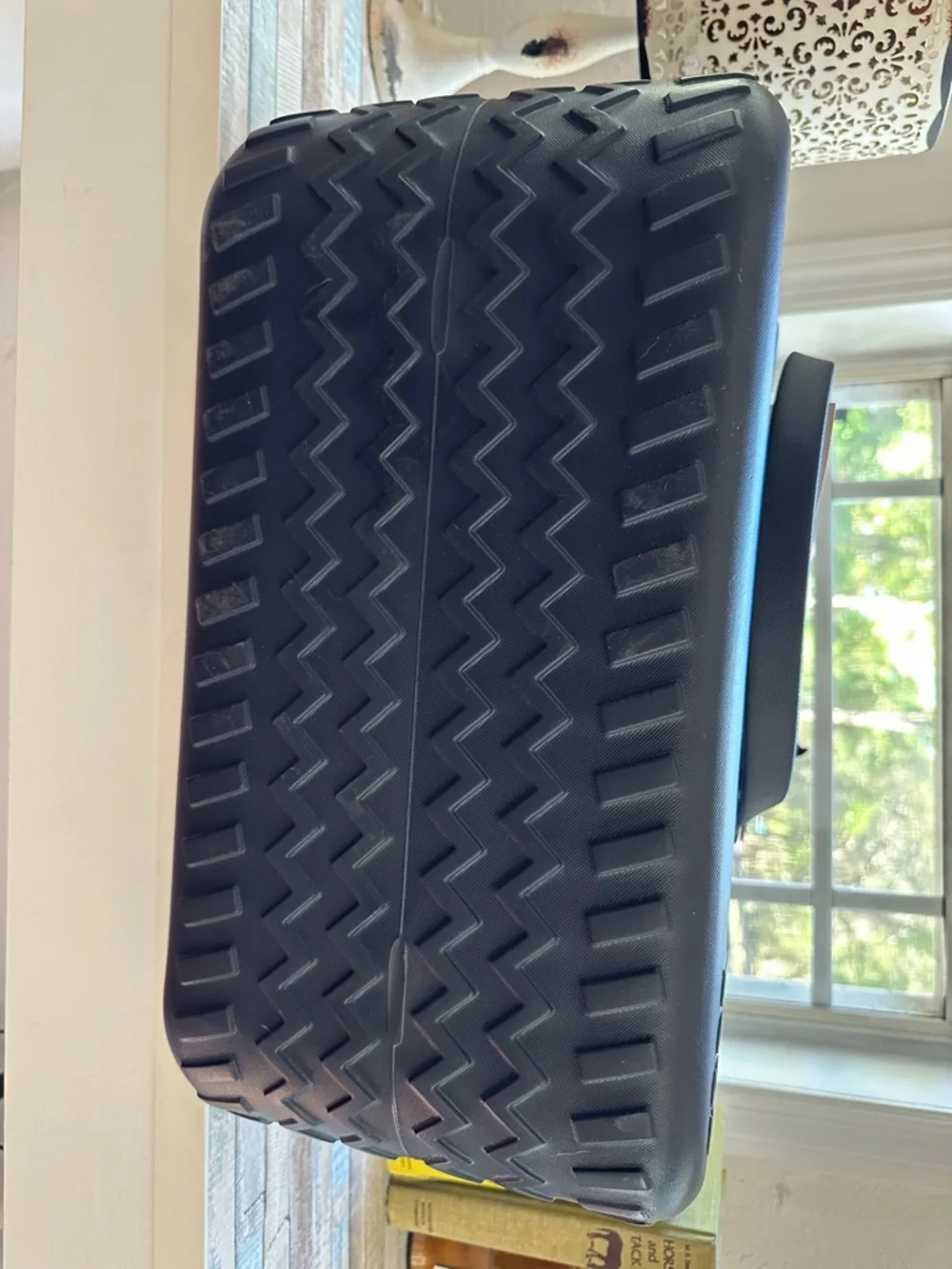 BOGG BAG nwt original